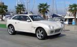 Fornasari RR600 2008 года